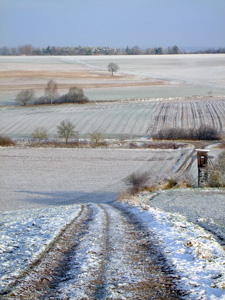 Johannes Stirba Fotografie - Fuji Finepix F40fd
