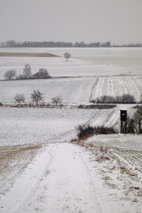 Johannes Stirba Fotografie - CANON EOS 5D ENNA Tele-Zoom 4/85-250