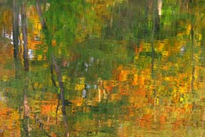Johannes Stirba Fotografie - CANON Powershot G2