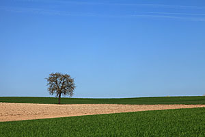 Johannes Stirba Fotografie - EOS 5D Mk II EF 23-105L