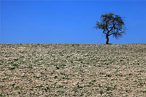 Johannes Stirba Fotografie - EOS 5D Mk II EF 23-105L
