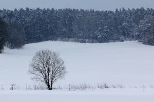 Johannes Stirba Fotografie - CANON EOS 60D TAMRON 70-300VC