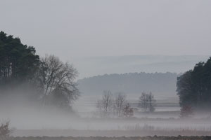 Johannes Stirba Fotografie - CANON EOS 450D EF 100-400L
