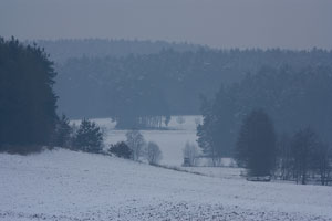 Johannes Stirba Fotografie - CANON EOS 450D EF 100-400L
