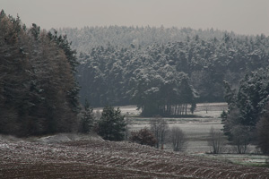 Johannes Stirba Fotografie - EOS 5D Tamron SP 200-500 MF 1,4x