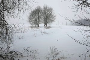 Johannes Stirba Fotografie - CANON EOS 5D  EF 24-105L
