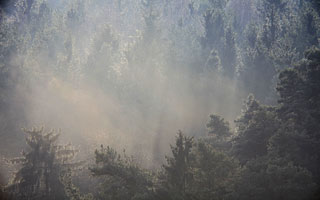 Johannes Stirba Fotografie - CANON EOS 5D MkII Vivitar 8.0/600mm