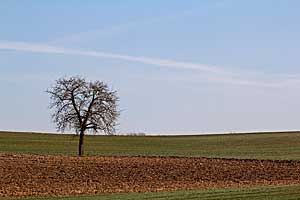 Johannes Stirba Fotografie - CANON EOS 60D Tamron 2,8/17-50 VC