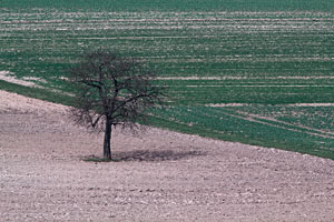 Johannes Stirba Fotografie - CANON EOS 60D Zeiss Jena Fernobjektiv 8/500