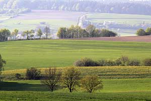 Johannes Stirba Fotografie - CANON EOS 60D Tamron SP 5,6/200-500