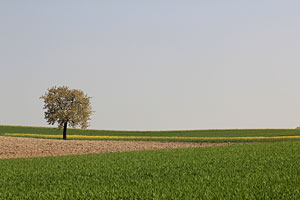 Johannes Stirba Fotografie - CANON EOS 60D Meyer Primoplan 1,9/75