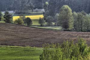 Johannes Stirba Fotografie - CANON EOS60D Tamron 70-300 VC