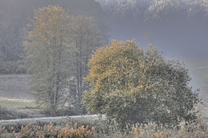Johannes Stirba Fotografie - CANON EOS 5D MkII Tamron 70-300VC