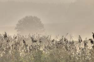 Johannes Stirba Fotografie - CANON EOS 5D Mk II Tamron 70-300VC