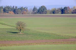 Johannes Stirba Fotografie - CANON EOS 5D Leitz Telyt 5/400
