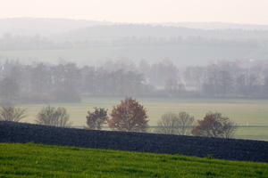 Johannes Stirba Fotografie - CANON 5D. Vivitar 5,6/400