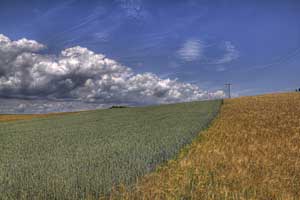 Johannes Stirba Fotografie - CANON EOS 60D Tamron 2,8/17-50 VC