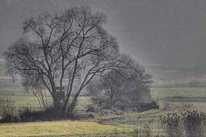 Johannes Stirba Fotografie - CANON EOS 5D MkII Tamron 70-300 VC