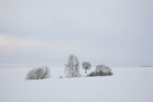Johannes Stirba Fotografie - CANON 5D CANON EF 24-105L