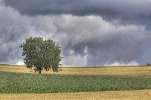 Johannes Stirba Fotografie - CANON EOS 60D Carl Zeiss Jena Germinar 9/180