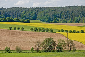 Johannes Stirba Fotografie - CANON EOS 5D CANON EF 100-400L