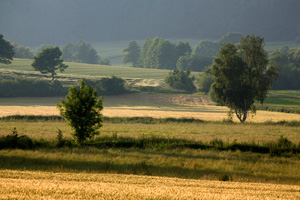 Johannes Stirba Fotografie - CANON EOS 5D CANON EF 100-400L