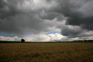 Johannes Stirba Fotografie - CANON EOS 5D CANON EF 4/25-105L