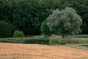 Johannes Stirba Fotografie - CANON EOS 5D CANON EF 4/25-105L