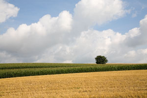 Johannes Stirba Fotografie - 