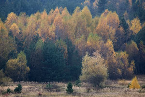 Johannes Stirba Fotografie - CANON EOS 5D EF 100-400L