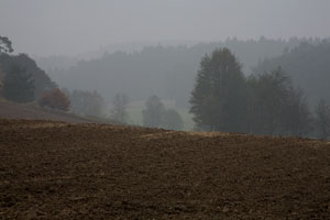 Johannes Stirba Fotografie - CANON EOS 5D EF 75-300 III