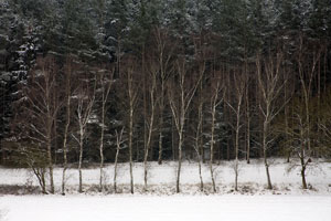 Johannes Stirba Fotografie - CANON EOS 5D EF 75-300 III
