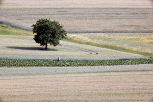 Johannes Stirba Fotografie - CANON EOS 5D Carl Zeiss Jena Fernobjektiv 8/500