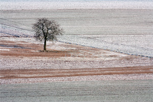 Johannes Stirba Fotografie - EOS 450D Kilfitt Tele-Kilar 5,6/300