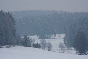 Johannes Stirba Fotografie - EOS 450D EF 75-300 III