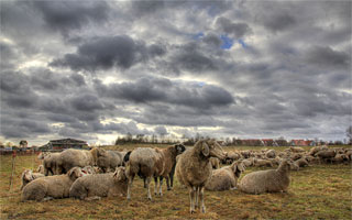 Johannes Stirba Fotografie - CANON EOS 60D Tamron 17-50VC